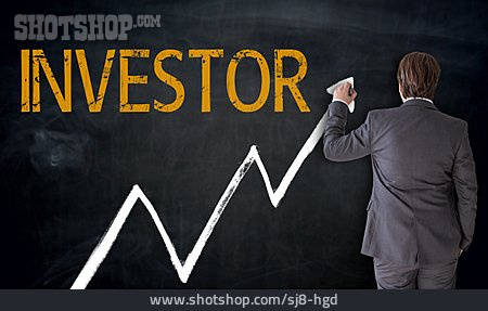 
                Anleger, Investor                   