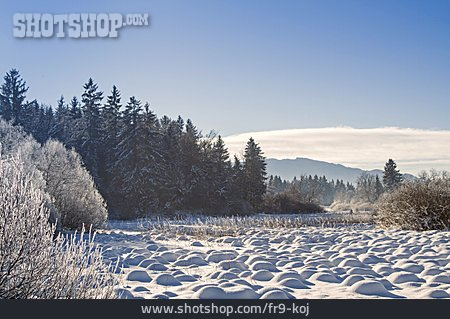 
                Winterlandschaft, Isarwinkel, Bayerische Alpen                   