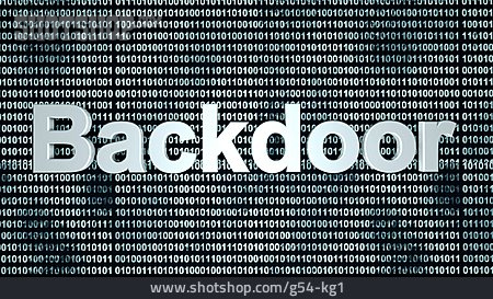 
                Internetkriminalität, Schwachstelle, Backdoor                   