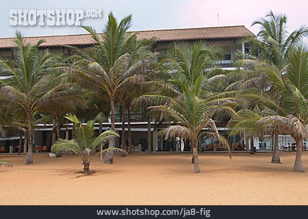 
                Hotel, Negombo                   