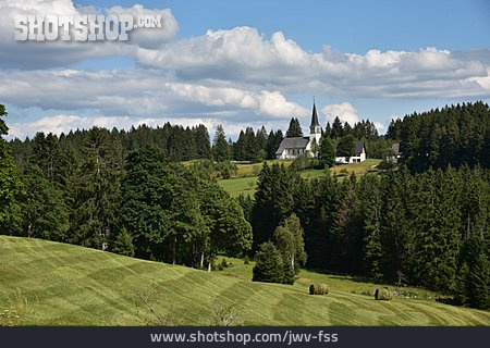 
                Schwarzwald, Blasiwald                   