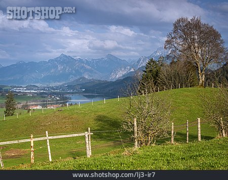 
                Allgäu, Alpen, Schwangau                   