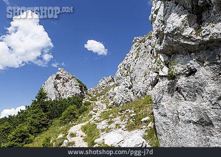 
                Ammergauer Alpen                   