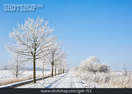
                Winter, Kälte, Friesland                   