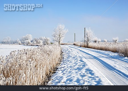
                Winter, Snowy, Road                   
