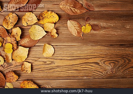 
                Blätter, Herbst, Holz                   