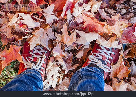 
                Laub, Füße, Herbstspaziergang                   