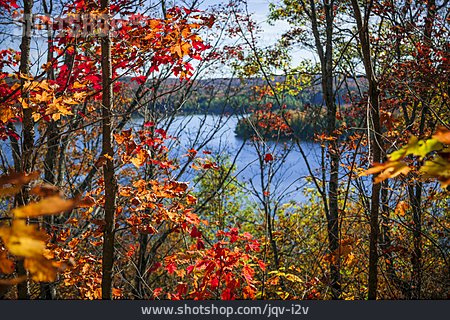 
                Ontario, Autumn Landscape, Algonquin Provincial Park                   