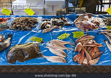 
                Fischmarkt, Nizza                   
