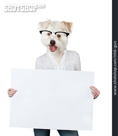 
                Hund, Nachricht, Brillenträger                   