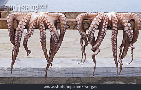 
                Tintenfisch, Oktopus                   