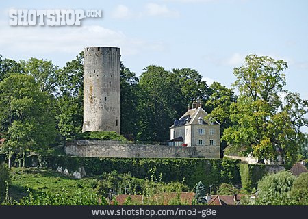
                Schloss, Rupt-sur-saône                   