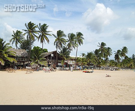 
                Sri Lanka, Ferienanlage, Ferienort                   