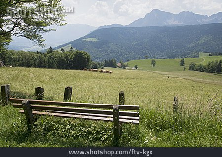 
                Aussicht, Bayern, Oberbayern, Viehweide, Rastbank                   