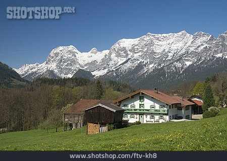 
                Alpen, Alm, Berchtesgadener Alpen, Reiteralm                   
