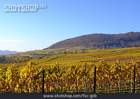 
                Rheinland-pfalz, Weinanbaugebiet                   