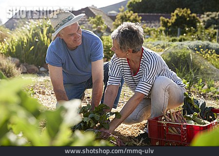 
                Paar, Gartenarbeit, Gemeinsam                   