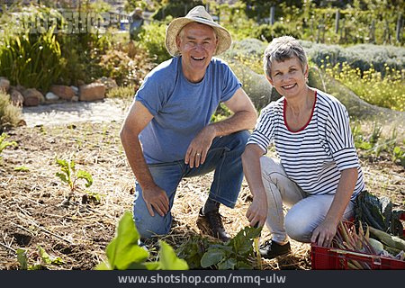 
                Paar, Gartenarbeit, Selbstversorger                   