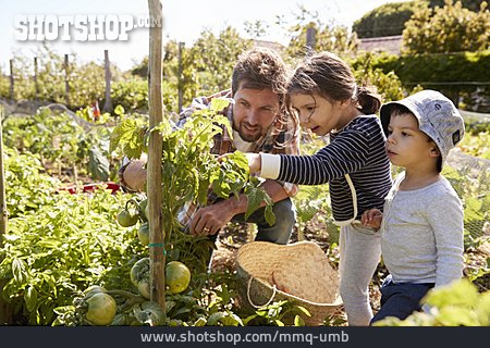 
                Gardening, Vegetable Harvest, Nature Observation                   