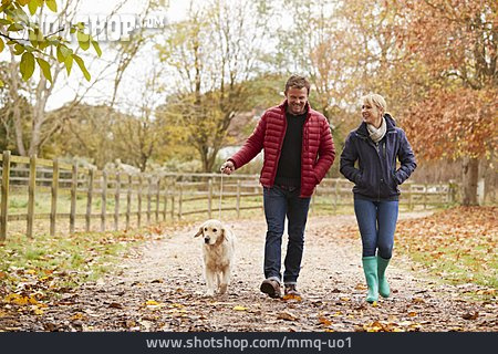 
                Dog, Couple, Walk                   