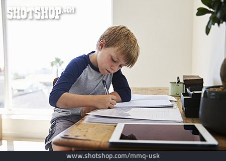 
                Junge, Hausaufgaben, Konzentriert                   