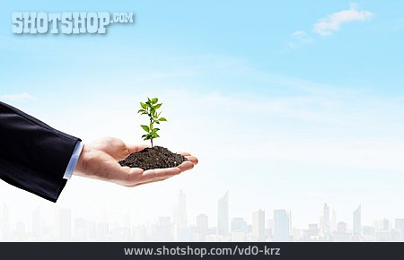 
                Wachstum, Verantwortung, Pflanzentrieb                   