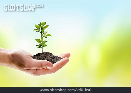 
                Wachstum, Umwelt, Umweltbewusstsein                   