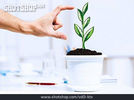 
                Pflanze, Wachstum, Pflege                   