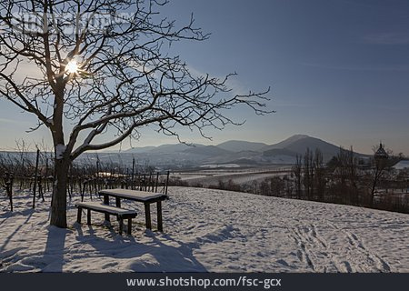 
                Baum, Winter, Rastplatz, Südpfalz, Pfälzerwald                   