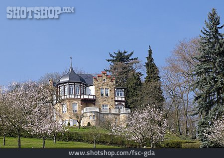 
                Villa, Emilienruhe                   