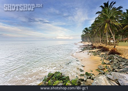 
                Sri Lanka, Küstenlandschaft, Marawila                   