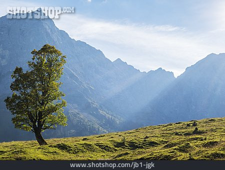 
                Karwendel, Naturschutzgebiet, Großer Ahornboden                   