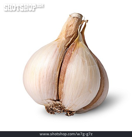 
                Knoblauch                   