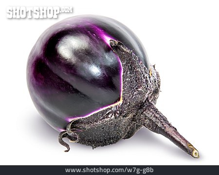 
                Aubergine                   