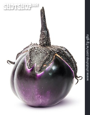 
                Aubergine                   