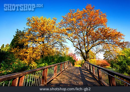 
                Holzbrücke, Herbstspaziergang                   