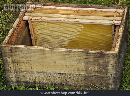 
                Bienenwabe, Bienenkasten                   