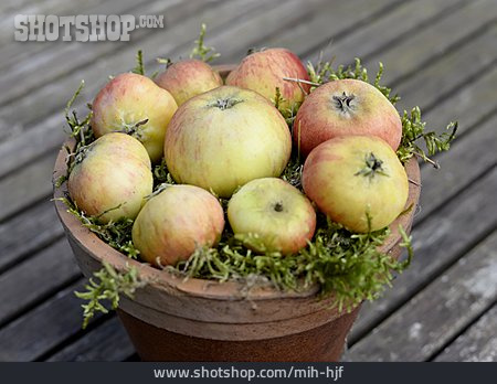 
                äpfel, Herbstdekoration                   