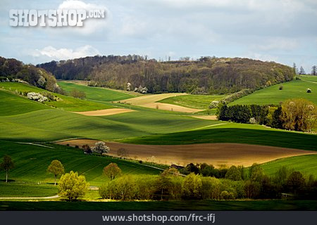 
                Landschaft, Hessen                   