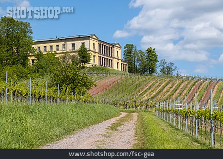 
                Weinanbaugebiet, Villa Ludwigshöhe                   