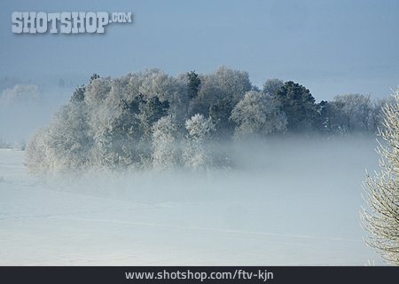 
                Winterlandschaft, Nebelschwaden                   