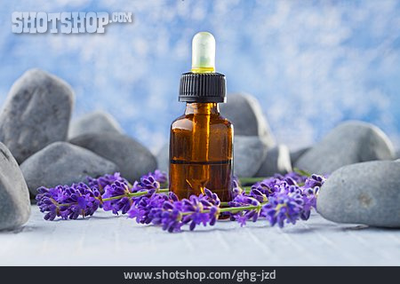 
                Lavendelöl, Aromaöl, Aromatherapie                   