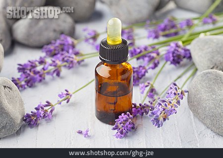 
                Lavendelöl, Aromaöl, Aromatherapie                   