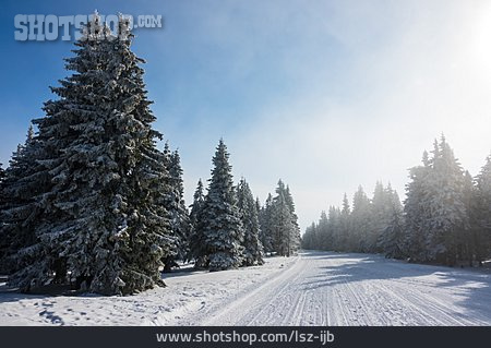 
                Nadelwald, Schneelandschaft, Riesengebirge                   