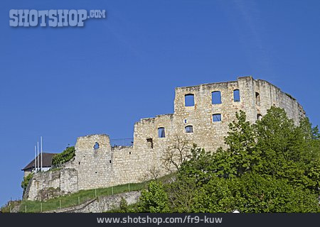 
                Ruine, Burg Laaber                   