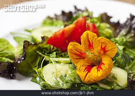 
                Salat, Gemischt, Kapuzinerkresse                   