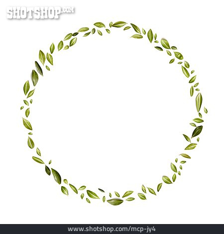 
                Blätter, Kreisförmig                   