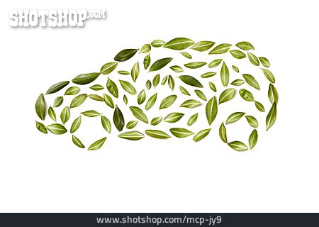 
                Blätter, Auto                   