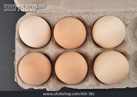 
                Hühnerei, Eierkarton                   