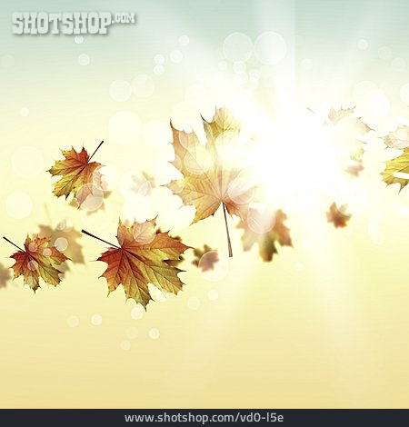 
                Herbstlaub, Ahornblätter, Lichtstrahlen                   